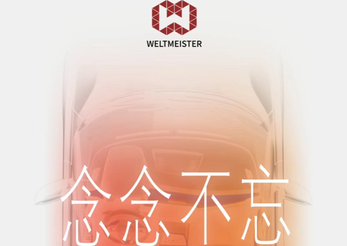 2026年，新势力分道扬镳